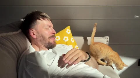 A young man with a beard is playing with a little red-haired kitten Stock Footage 342268652