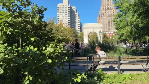 Young man on bench in Washington Square Park on sunny day in New York City Stock Footage 348702671