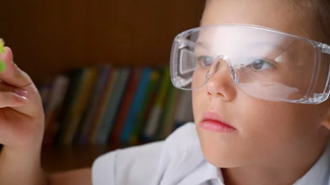 A young man in a biology class is engaged in studying plants that are edible. Stock Footage 282540789