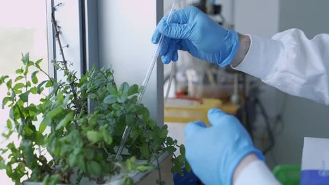 Young man in a biotech lab check and measures data in a green-energy experiment Video stock 112516113