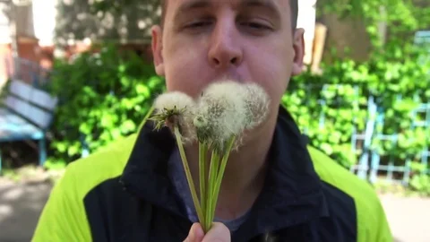 A young man blows dandelion slow motion Video stock 75915511