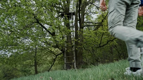 Young man in blue jacket and jeans with backpack comes to a huge perennial oak 스톡 동영상 115360147