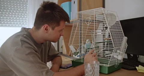Young Man Bonding with Pet Parakeet at Home: A Heartwarming Display of Affection 스톡 동영상 306973090