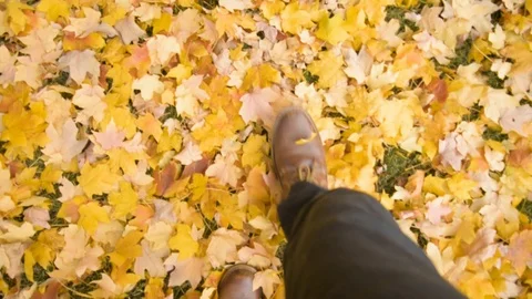 Young Man In Boots Walking Through Yellow, Gold, And Red Fall Leaves Stock Footage 117693003