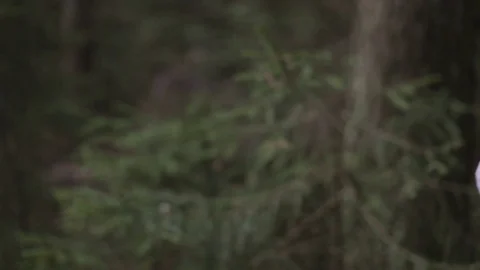 A young man with a broken hand in a cast goes through the forest Stock Footage 83444413