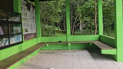 Young Man Browsing Books at Telaga Buret Nature Library Tulungagung Видео 332968800