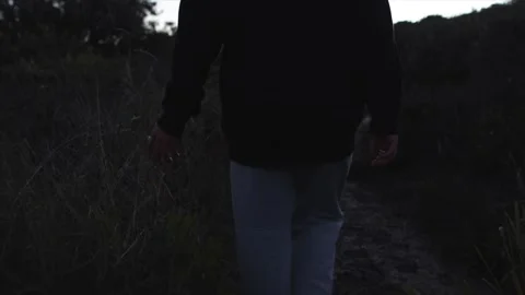 Young man brushing his hand against a bush, environmental appreciation walk Stock Footage 255633543