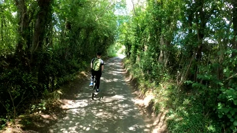 Young man with cap backpack cycling down road goes hands free, trees and sunny. Stock Footage 145883650