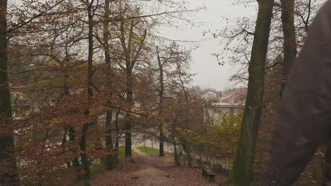 Young man with cap walking down the stairs in the forest park in autumn Video stock 98111425