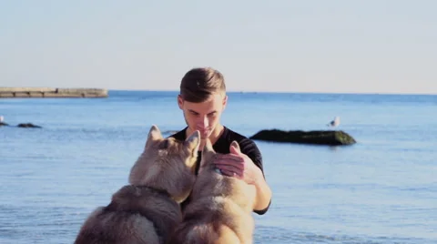 Young man caressing two husky dogs on the beach slow motion Video stock 57297940