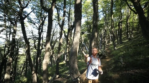 Young man catching drone from the air while landing. Old forest at background Видео 126739066
