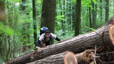 Young man climbing fallen trees in the forest.challenging walk through forest 스톡 동영상 252526129