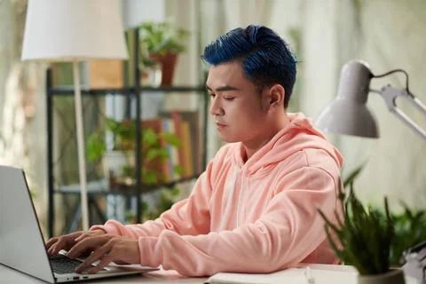 Young Man Coding on Laptop Stock Photos