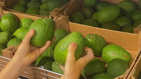 Young man comes out with a fresh avocado in a fruit supermarket. Green avocado i Stock Footage 203824538