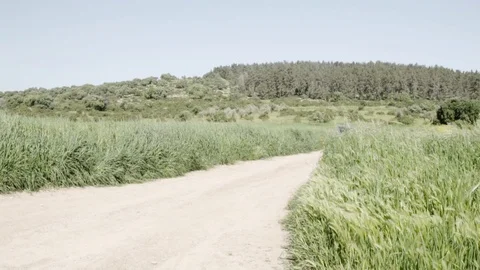 Young man controlling drone standing in the field with a remote his In hands. Stock Footage 116141736