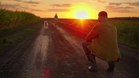 Young man crouching on dirt road watching golden retriever dog running towa.. Stock Footage 334828552