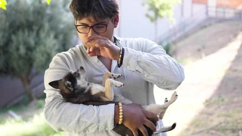Young man cuddling and playing with his Chihuahua pet in his arms_1.MOV Stock Footage 287741382