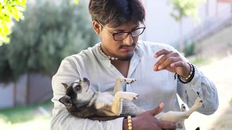 Young man cuddling and playing with his Chihuahua pet in his arms_2.MOV 스톡 동영상 287741436