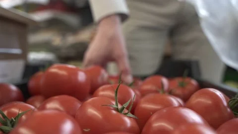 The young man customer puts the fresh tomatoes in a disposable plastic bag. Stock Footage 131555100