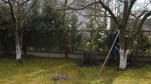 A young man cuts off the branches of an apple tree. Video stock 126238915