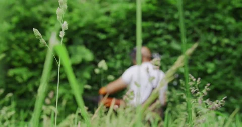 Young man cutting hedge with electric trimmer Stock Footage 157804636