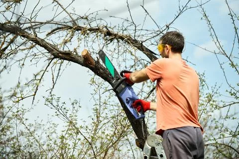 Young man cutting trees using electrical chainsaw in motion at his backyard Stock-Fotos