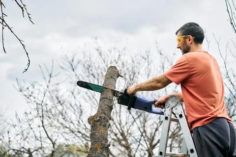 Young man cutting trees using electrical chainsaw in motion at his backyard Stock Photos