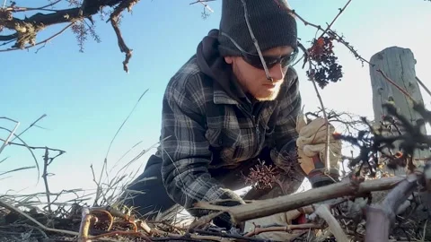 Young Man Cutting Wire / Cold Breath Stock Footage 150805724