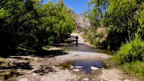 Young man cyclist rides a mountain bike on a forest road through a creek. Stock Footage 147327324