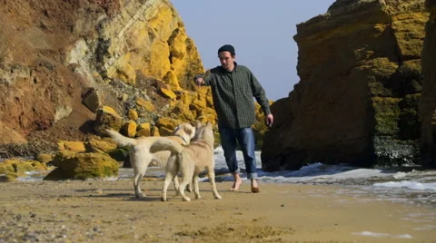 Young man dancing with two dogs on the beach slow motion Stock Footage 61057391