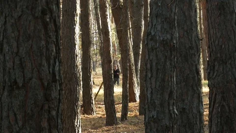 Young man in deep forest speaks on the cell phone Stock Footage 120705691