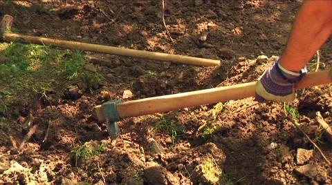 Young Man Digging In His Backyard Stock Footage 63806736