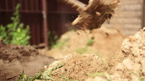 Young man digs a hole. Close-up. Stock Footage 112812715