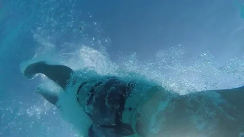 Young man dives head first being shot from underqater perspective in slo-mo Stock-Footage 83732992