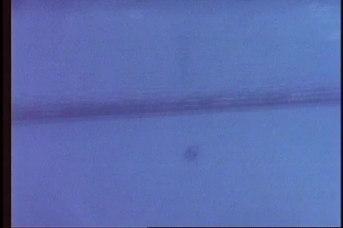Young man dives into pool Stock Footage 286404
