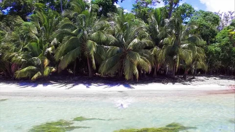 Young man diving into crystal clear waters from the white sand of the beach Stock Footage 89704413