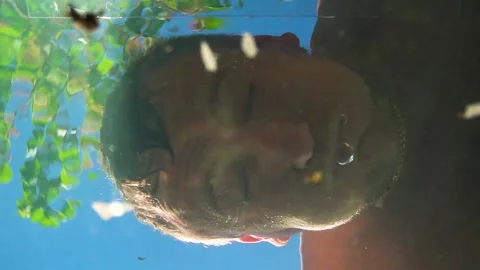 Young man diving into water and bubbles in nature in sunny summer Video stock 308449164
