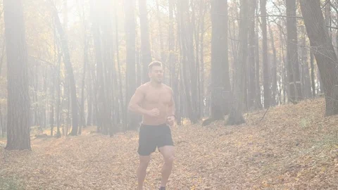 Young Man Doing Exercises In The Forest. Vídeos de archivo 120651243