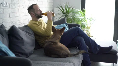 Young man drinking beer, relaxing sitting on sofa with his dog Stock Footage 88884293