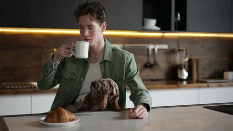 Young man is drinking coffee and sitting at table with dog in home kitchen spbd. Stock Footage 201251234
