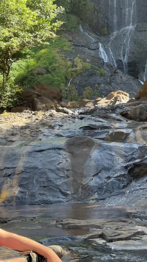 Young Man Drinking Coffee by Waterfall, Forest Environment, Vertical Pan Shot Stock Footage 324770275