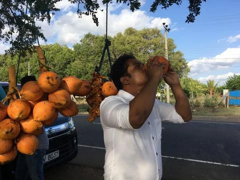 Young man drinking king coconut traditional way Vavuniya, Sri Lanka 06.09.2019 Stock Photos
