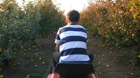 Young Man Driving a Small Tractor In Apple Orchard 4k 2 Vídeo Stock 100632711