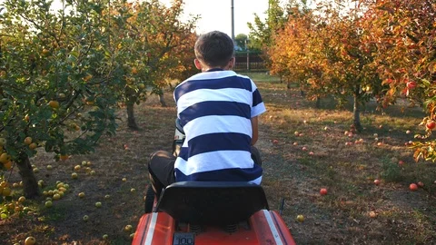 Young Man Driving a Small Tractor In Apple Orchard 4k 動画素材 100632864