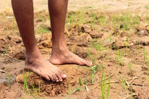 A young man on the drought. Stock Photos