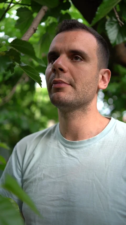A  young man eats a mulberry, has stained his hands, tongue, and face with .. Stock Footage 277628779