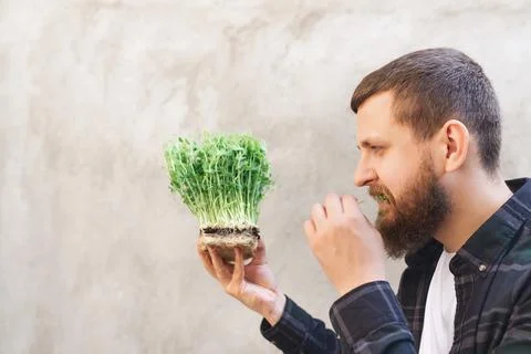 Young man eats pea microgreens Foto stock