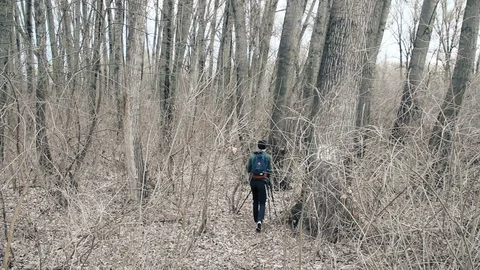 Young Man Entering Forest With Camera On Tripod Stock Footage 96657240