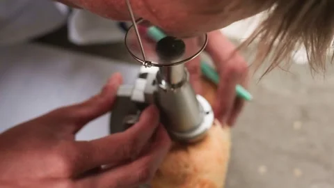 Young Man Examining Pastry Through Microscope in Outdoor Study Stock Footage 321115613
