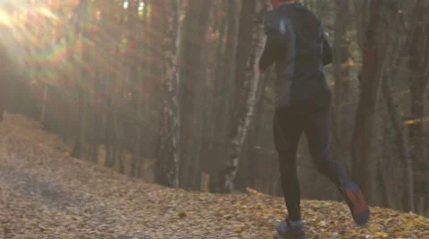 A young man excercising, running on the forest path, sunflare in the shot Stock Footage 56636019